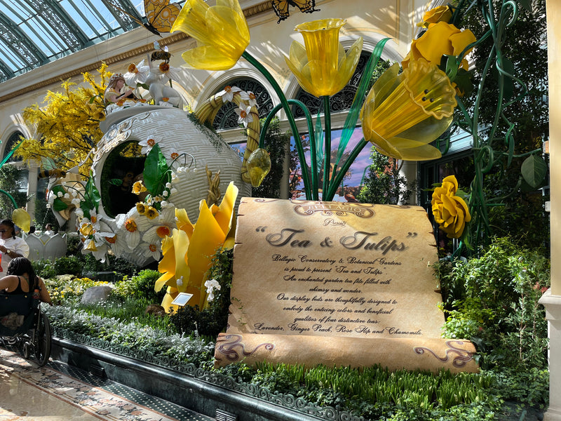 A Symphony of Tea and Tulips: Wet Leaf Tea Co. Visits the Bellagio Conservatory