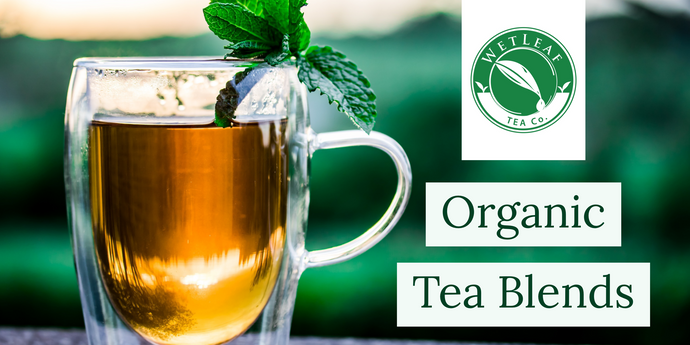 The Growing Organic Tea Industry: Why More People Are Sipping Sustainably