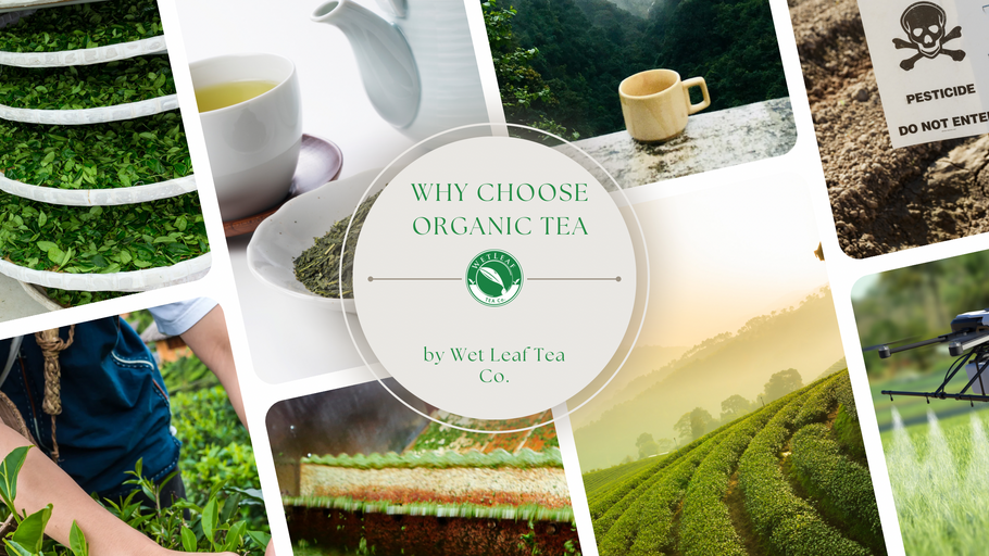 Why Choose Organic Tea? The Benefits, Cultivation, and Ethical Impact of Organic Tea